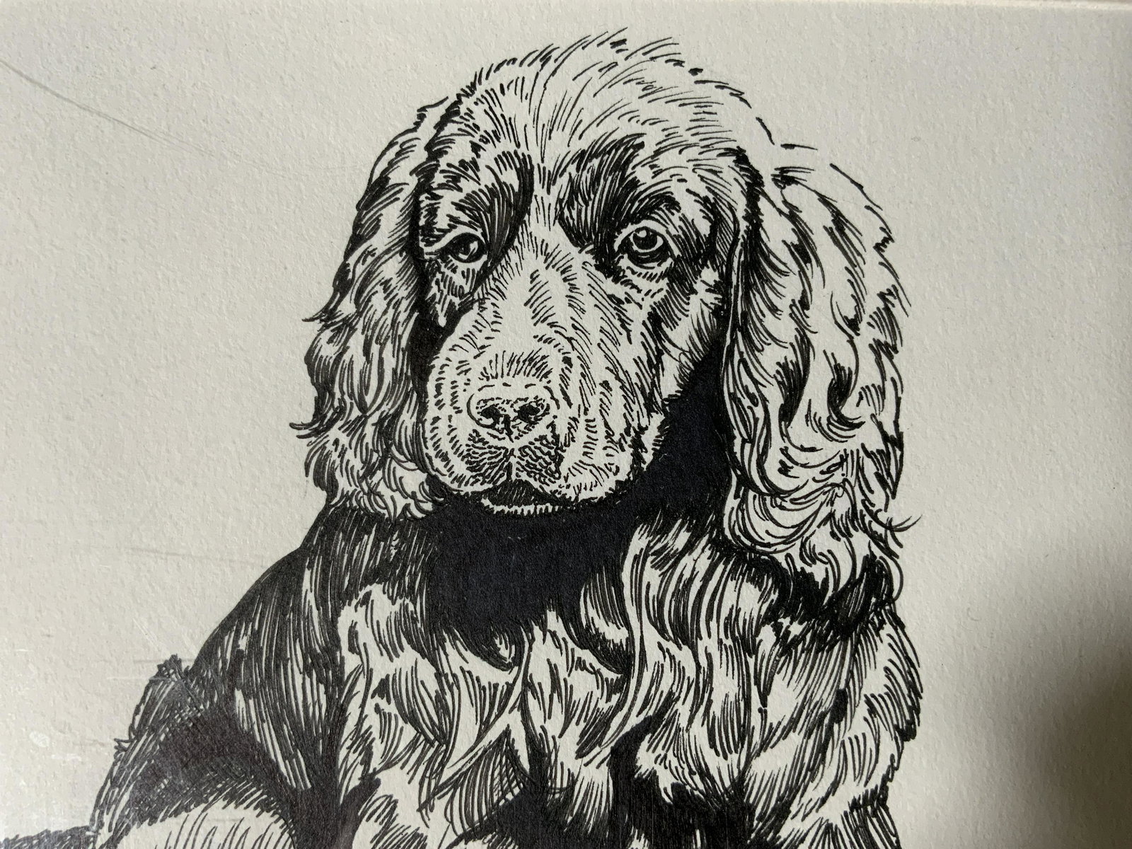 Lot 4 VMR Signed Graphite & Ink Drawings (1 of 6)