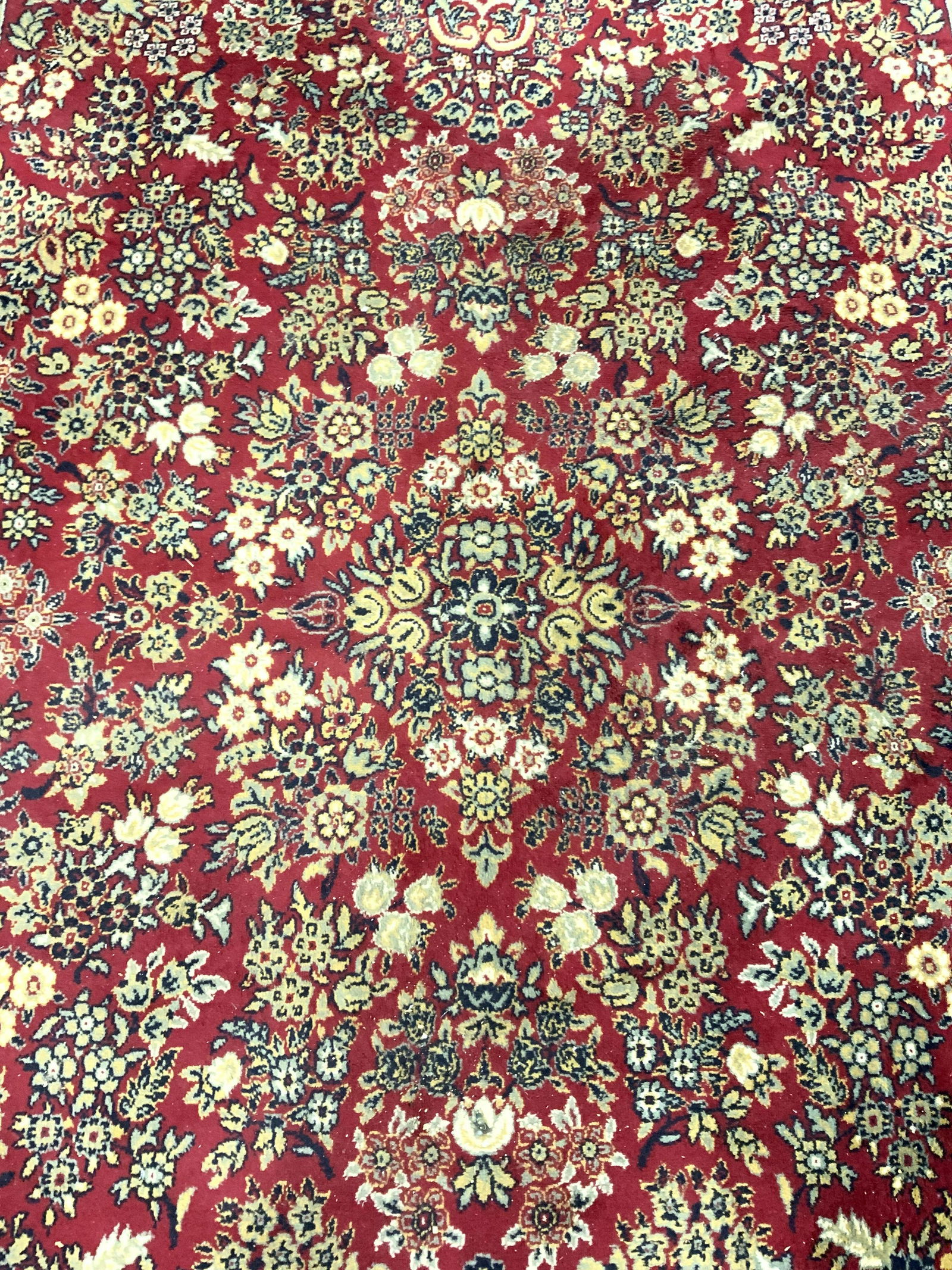 Vintage Oriental Fringed Wool Area Rug (1 of 9)