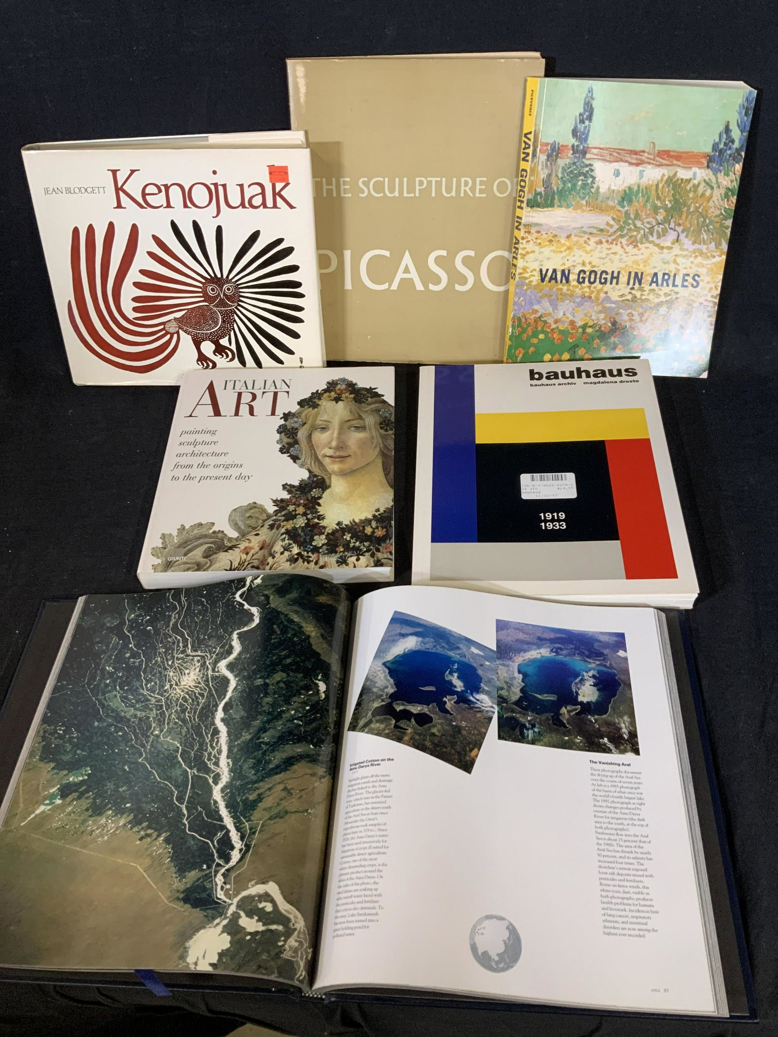 Lot 6 Art Books-Picasso, Kenojuak, Van Gogh more (1 of 11)