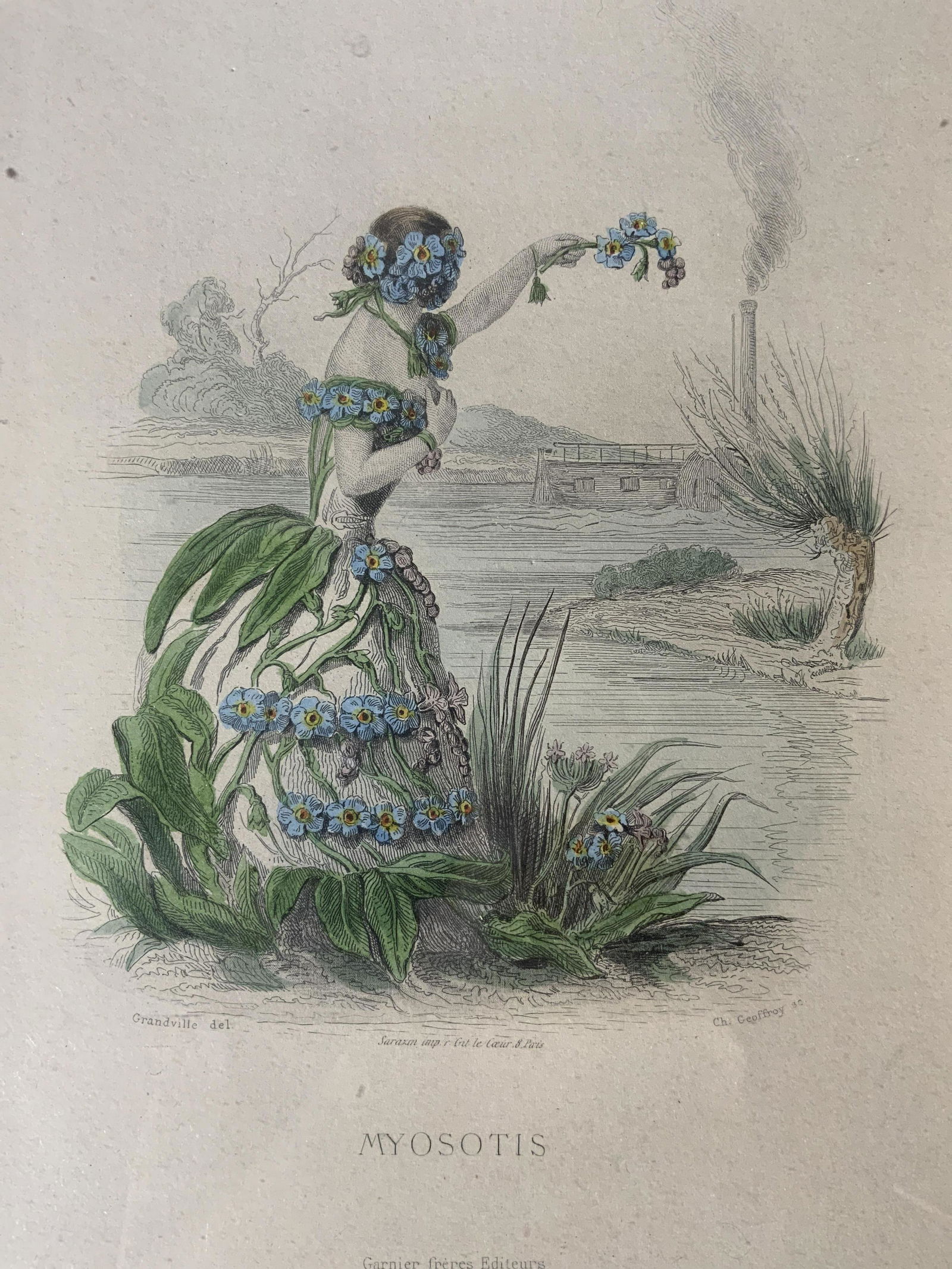 JJ GRANDVILLE Myosotis Engraving (1 of 9)