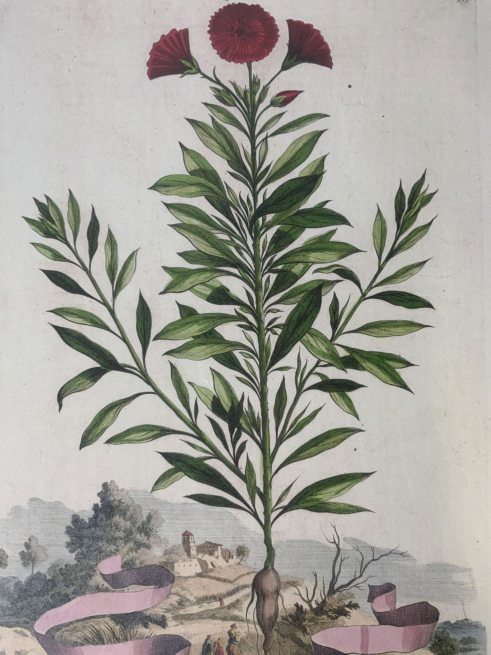 ABRAHAM MUNTING Offset Lithograph (1 of 10)