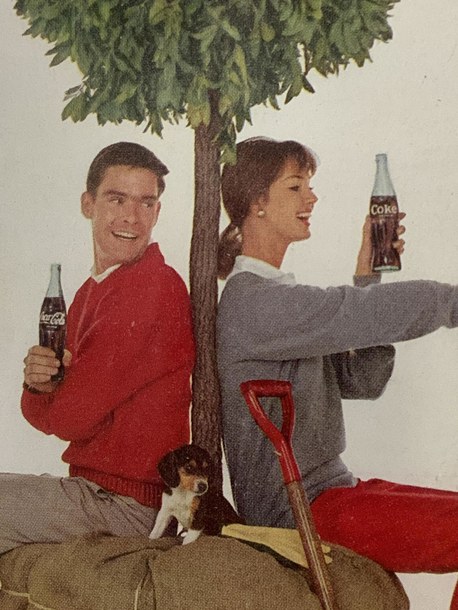 Framed National Geographic Coca-Cola Ad (1 of 5)