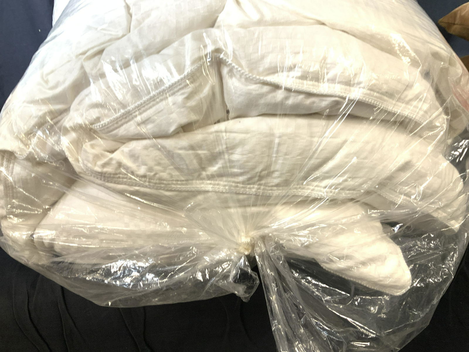 Lux European Goose Down Comforter (1 of 6)