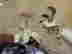item-111822585=4