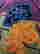item-112290012=5