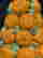 item-111691498=4