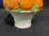 item-111691498=5