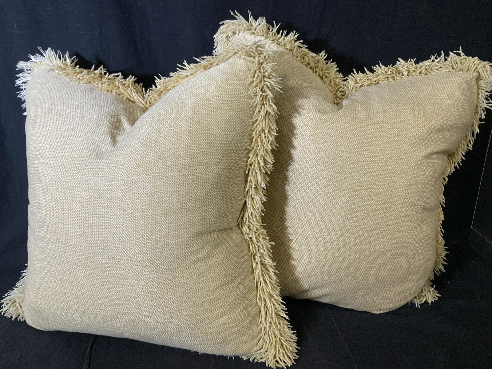 Pr Luxury D&D Build. Fringe Feather Pillows 23 in. (1 of 10)