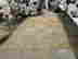 item-111795255=3