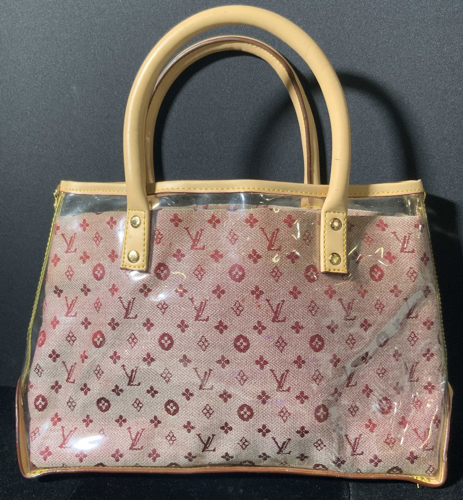 LOUIS VUITTON FRENCH Transparent Red LV Handbag (1 of 11)