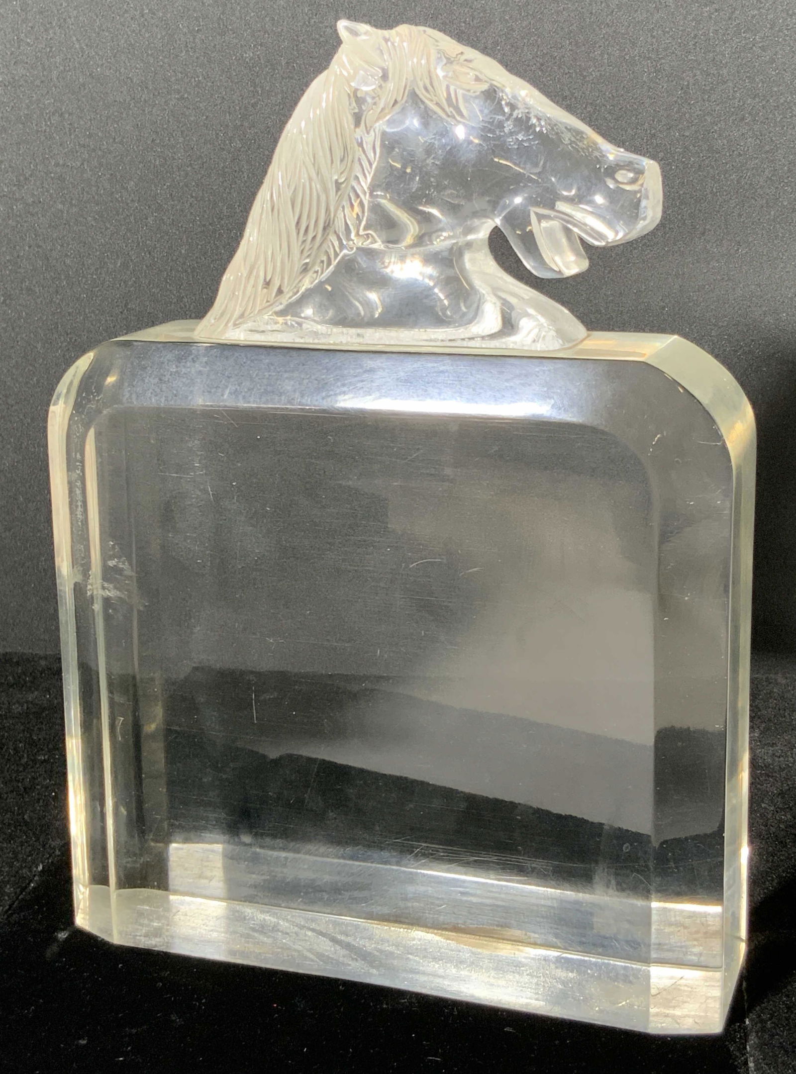 Vintage Horse Motif Lucite Bookend (1 of 8)