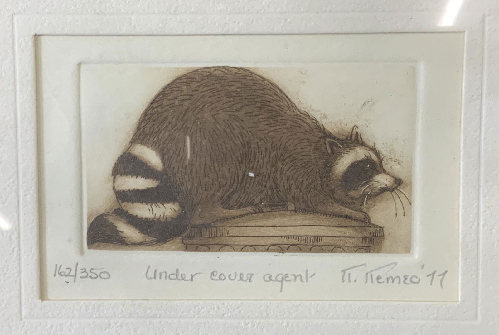 NANCY NEMEO Signed Raccoon Engraving (1 of 6)