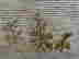item-113420047=8