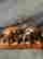 item-114141634=6