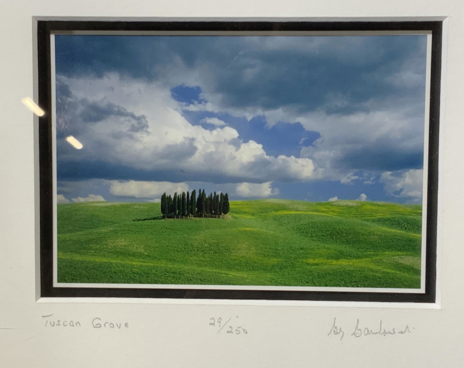 GREG GAWLOWSKI Signed Photograph of a Tuscan Grove (1 of 5)