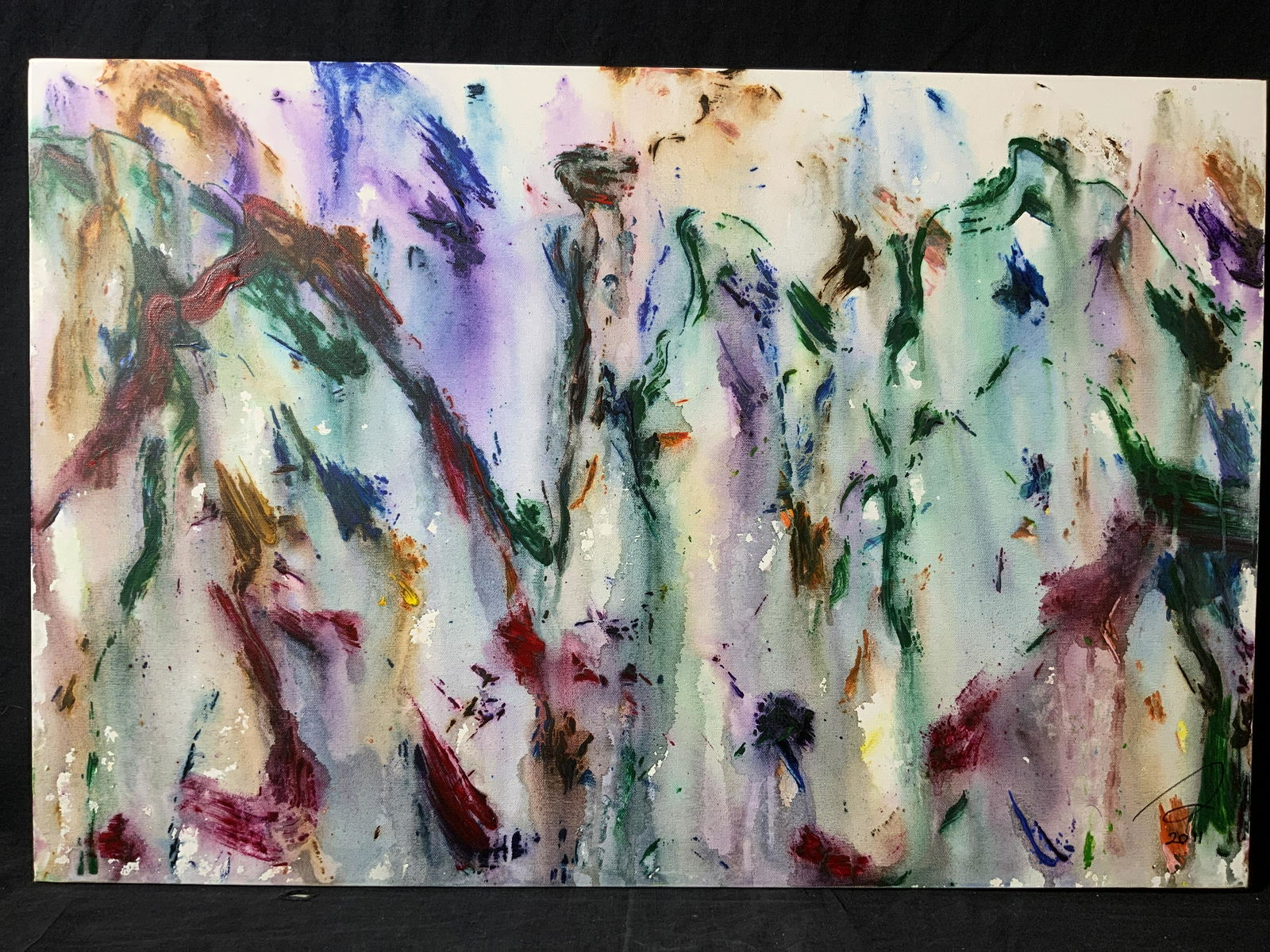 ATTR STANLEY LINDWASSER Shadow of a Mountain (1 of 8)