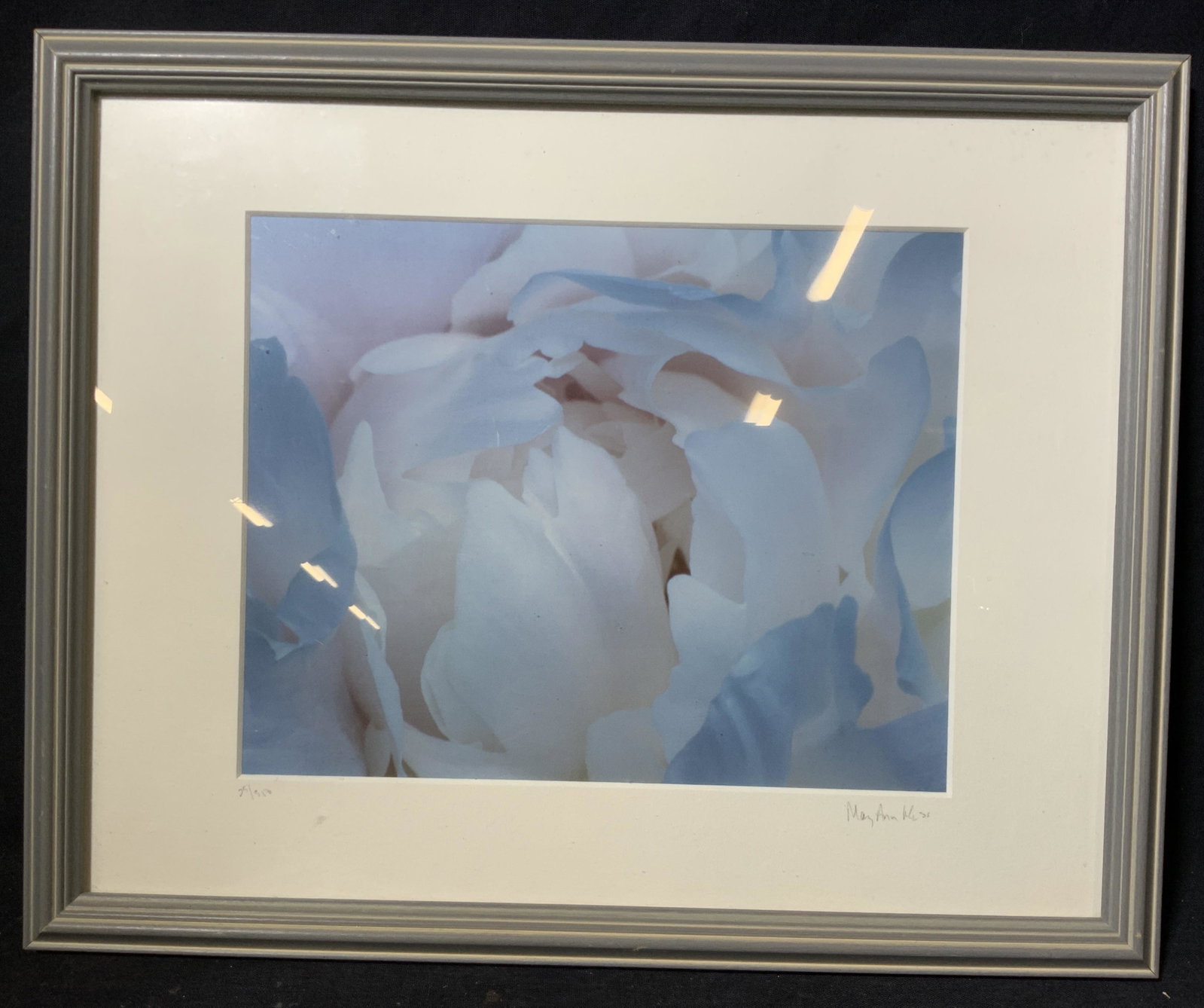 Mary Ann Mesi Signed Photograph: Mary Ann Mesi Signed Photograph, signature to lower right reads possibly ‘Mary Ann Mesi’, edition number lower left reads 25/350, verso reads ‘clock tower framing’, subject a view of petals of