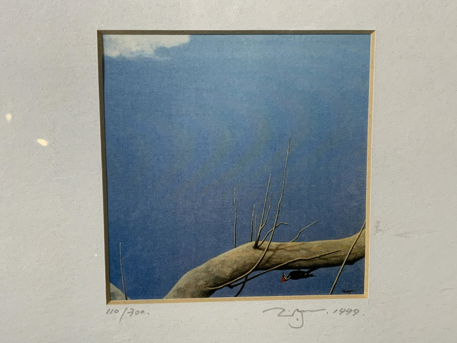 Signed Serigraph Lone Woodpecker: Signed Serigraph Lone Woodpecker, signature to lower right illegible, edition to lower left reads ‘110/300’, subject an open sky with a tree branch and one woodpecker on it, measures 10 x 8 inches
