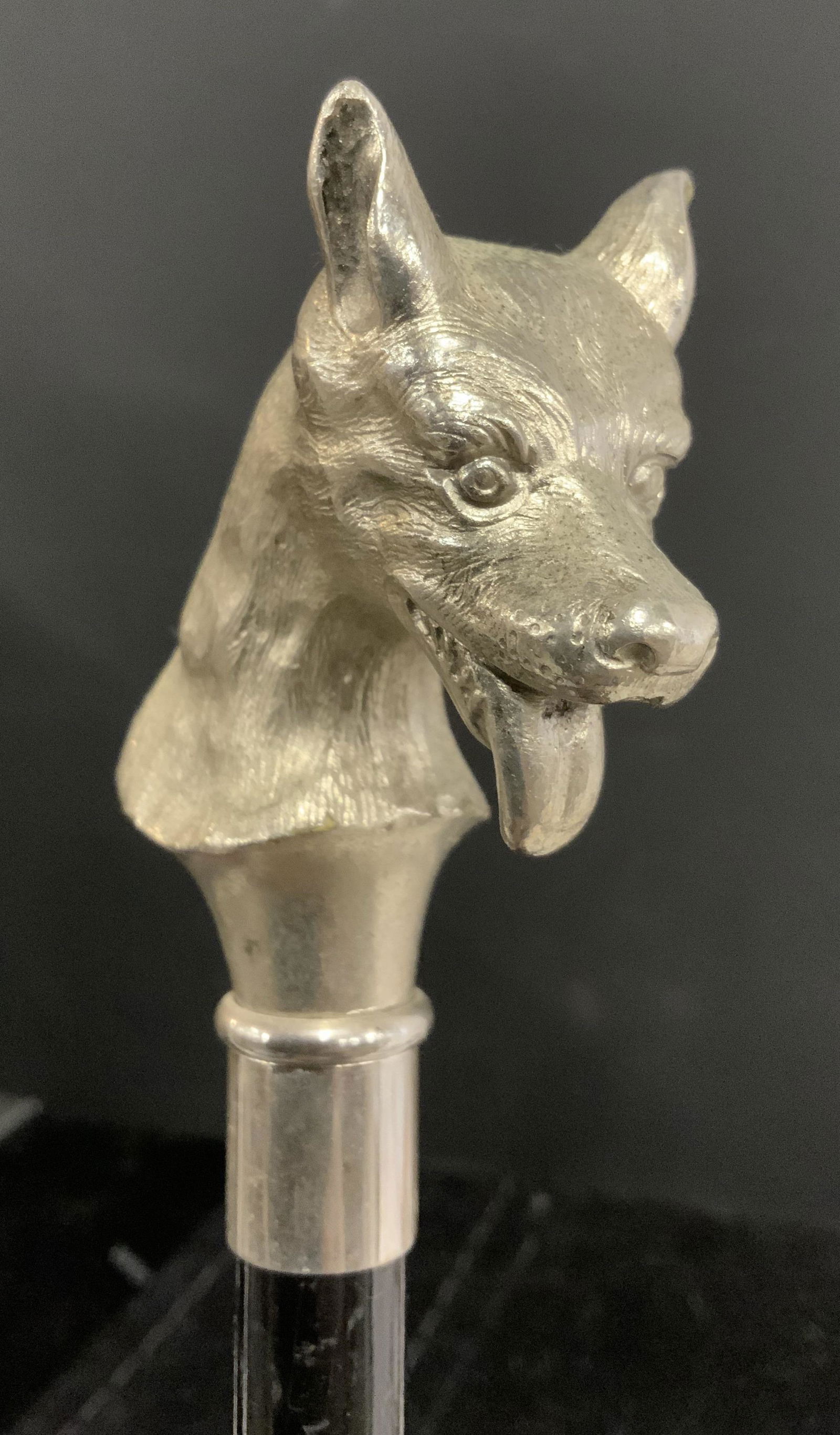 Vintage Dogs Head Walking Stick (1 of 5)