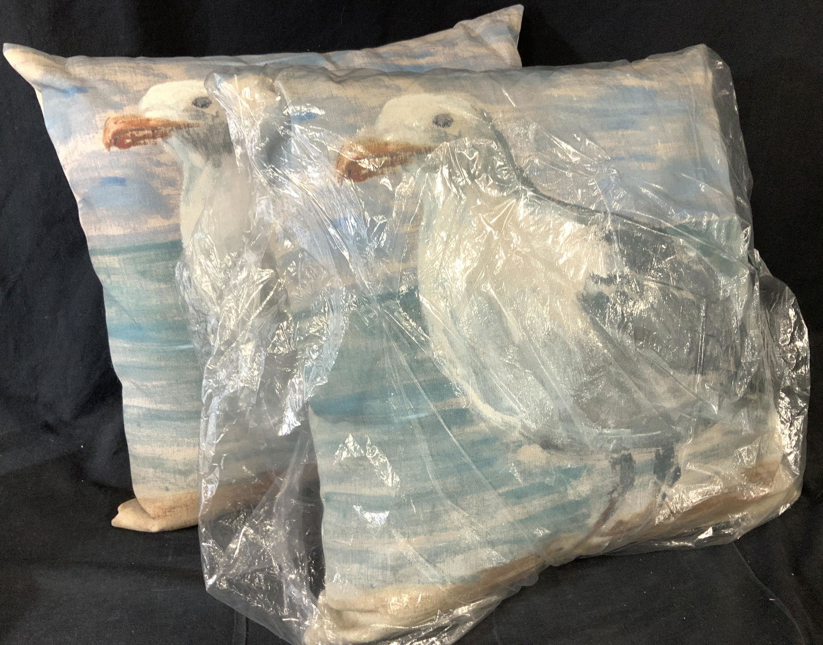 Pottery Barn Seagull & Lighthouse Pillows, 2 (1 of 7)