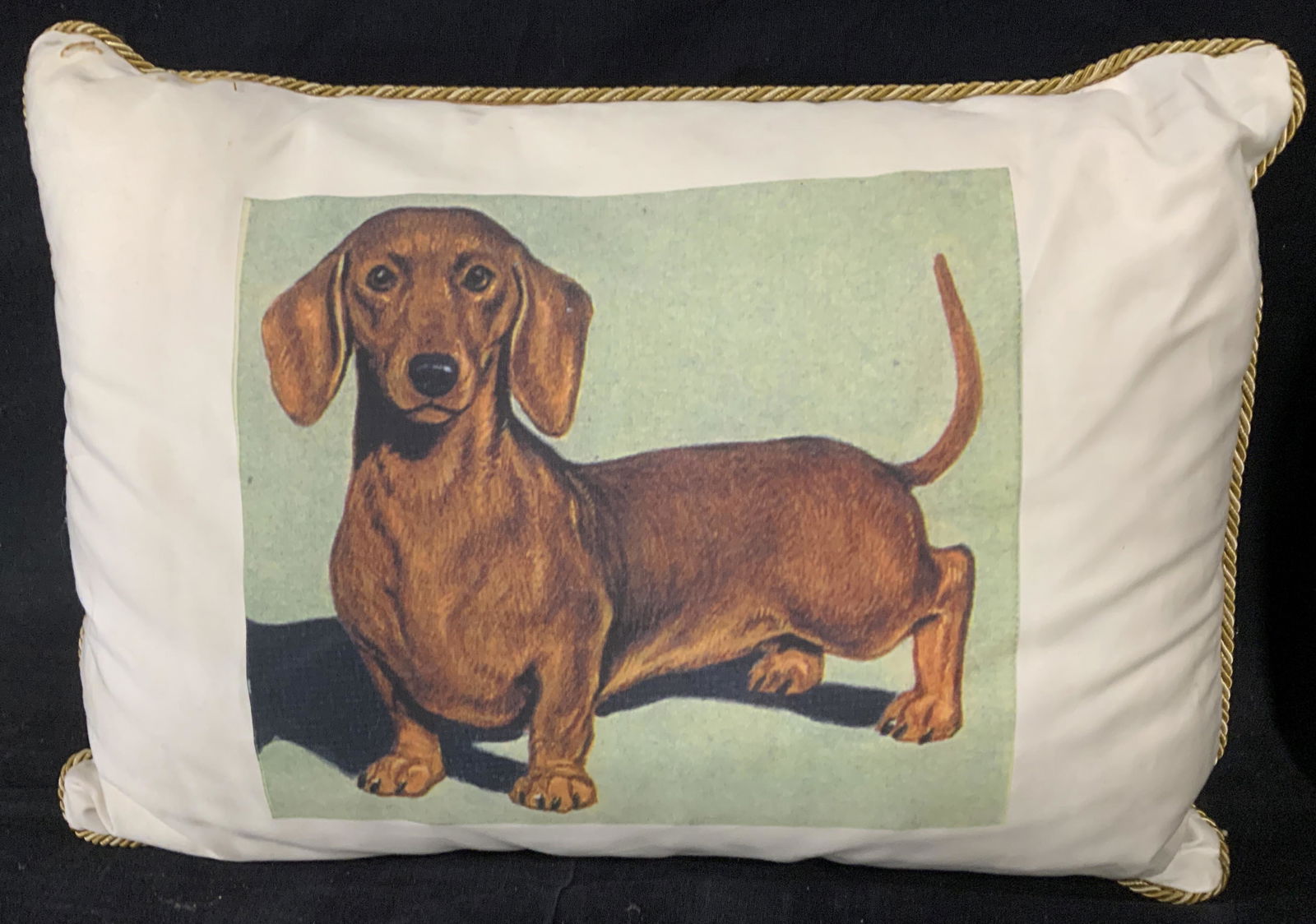 Dachshund Cotton Toss Pillow (1 of 5)