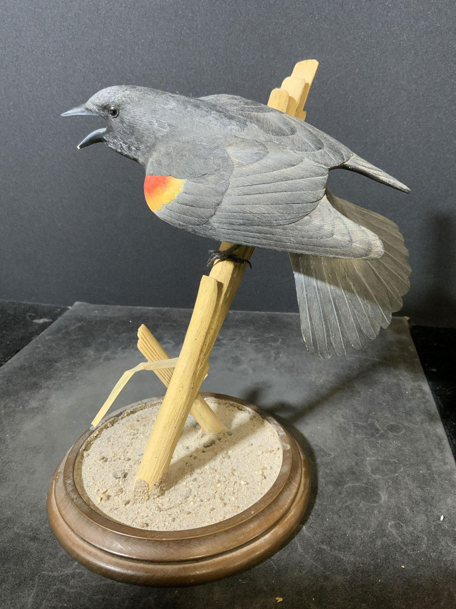 Red-Winged Black Bird Wood Sculpture (1 of 5)