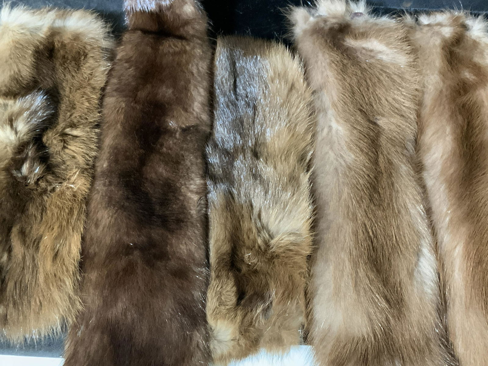 Group Lot 7 Fur Trimmings (1 of 5)
