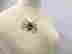 item-115854788=5