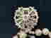 item-115854811=6