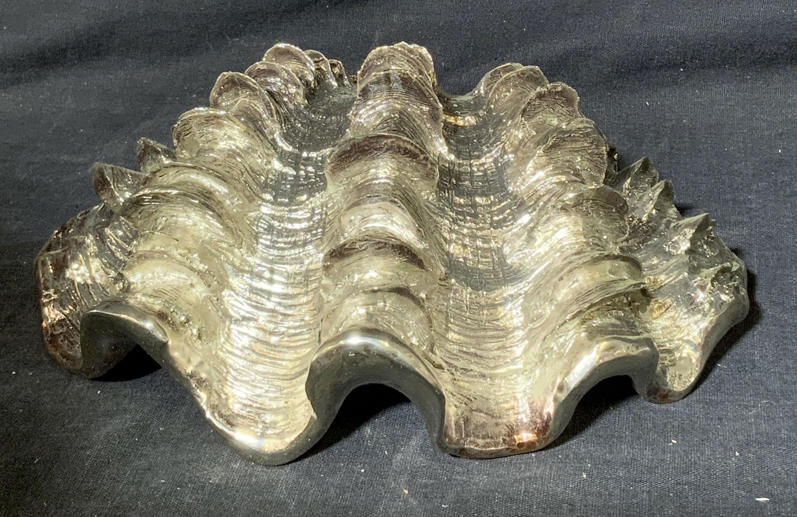 WEST ELM Composite Decorative Clam (1 of 4)