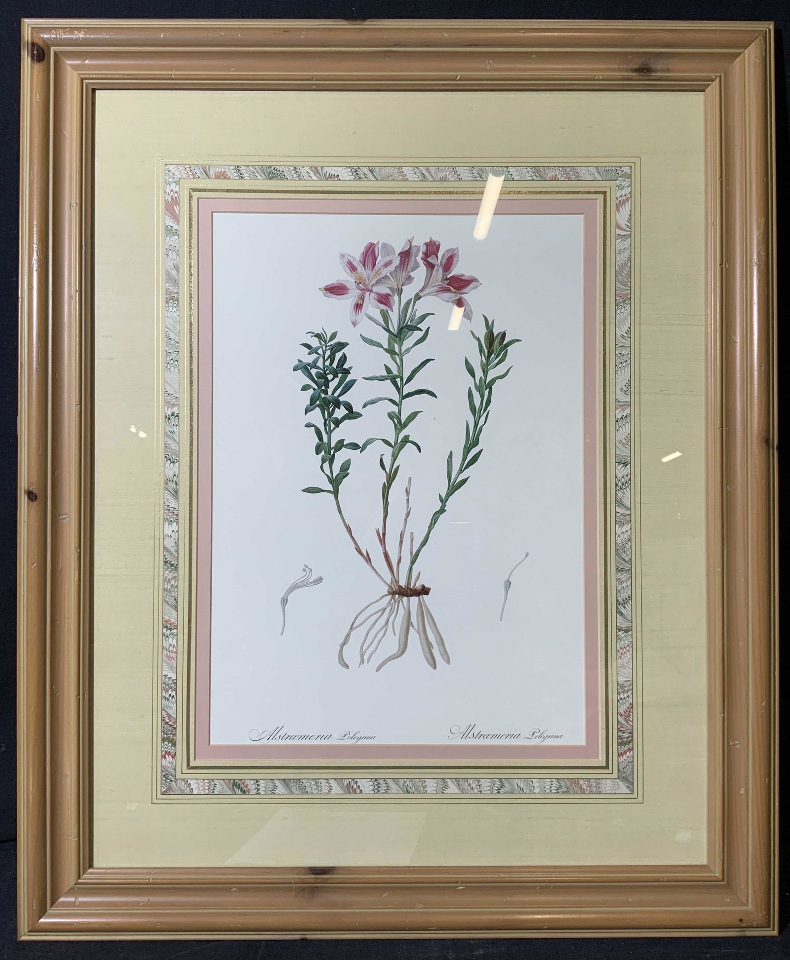 JOHN RICHARD Alstroemeria Pelegrina Lithograph (1 of 13)