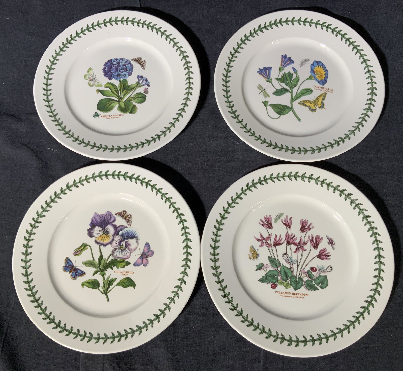 PORTMEIRION 4 Botanical Earthenware Plates: 4 set of botanical printed plates marked, ‘ Portmeirion Susan William-Ellis’ on undersides. Each obverse side of plate has different plates printed in the center with the scientific name and every