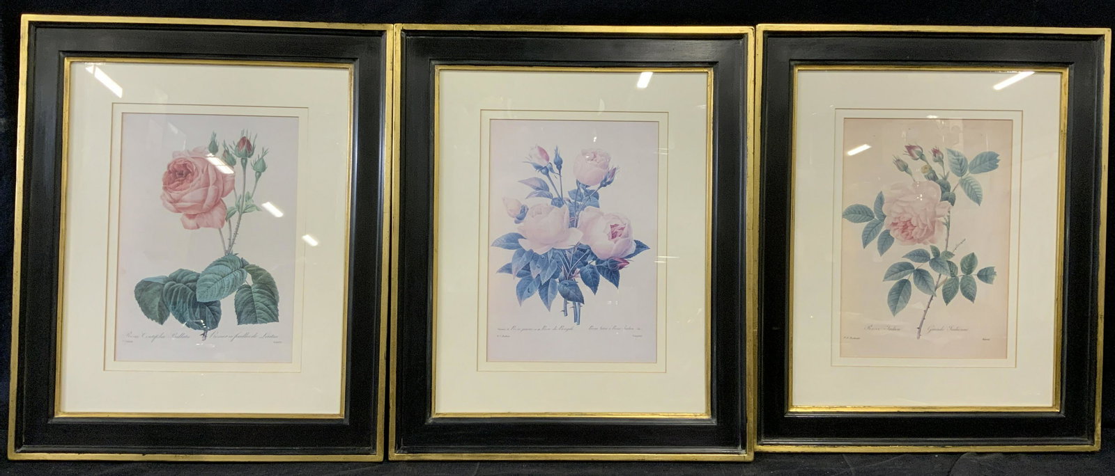 Vintage Set Botanical Lithographs of Roses (1 of 9)