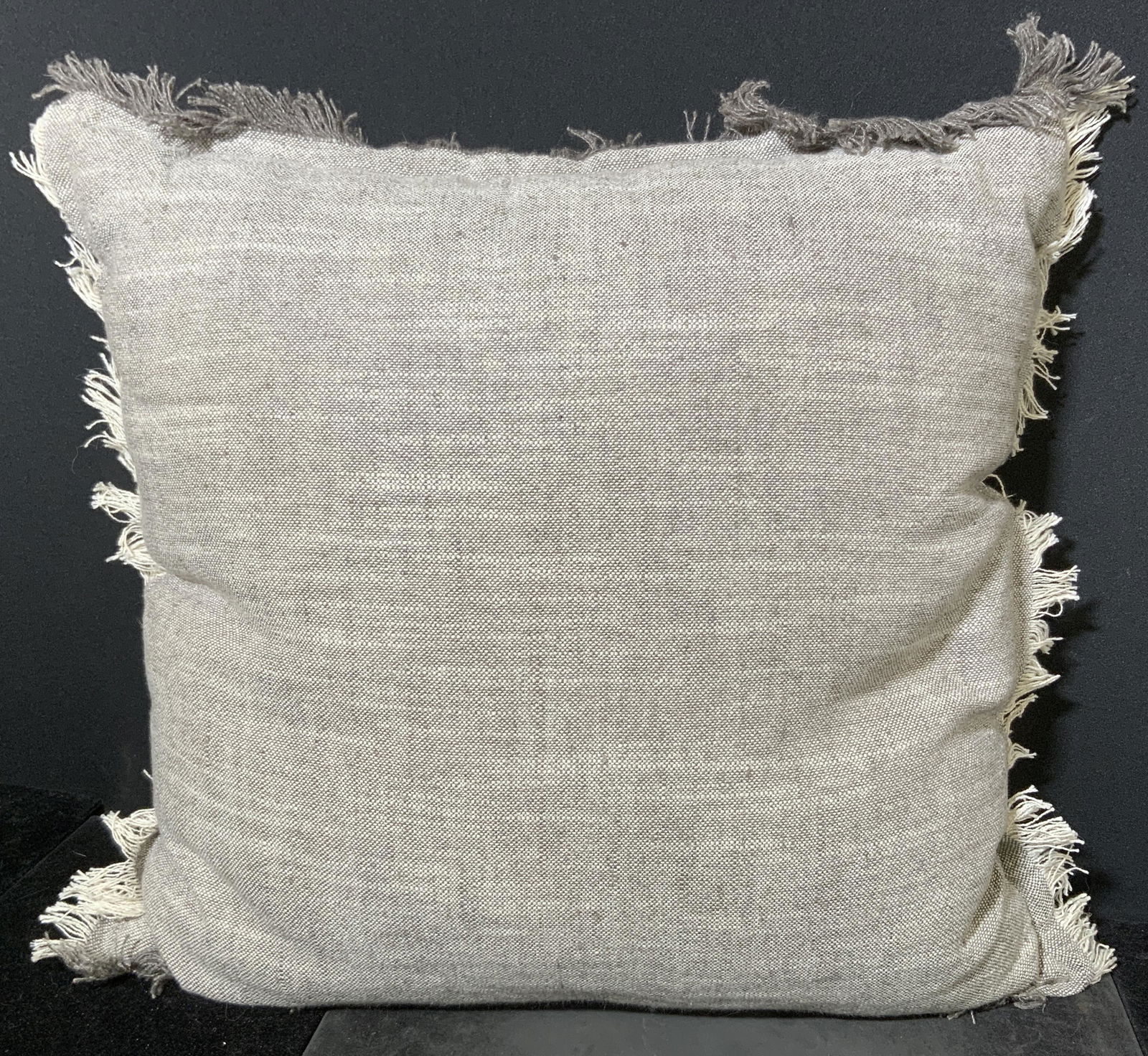 Fringed Throw Pillow (1 of 5)