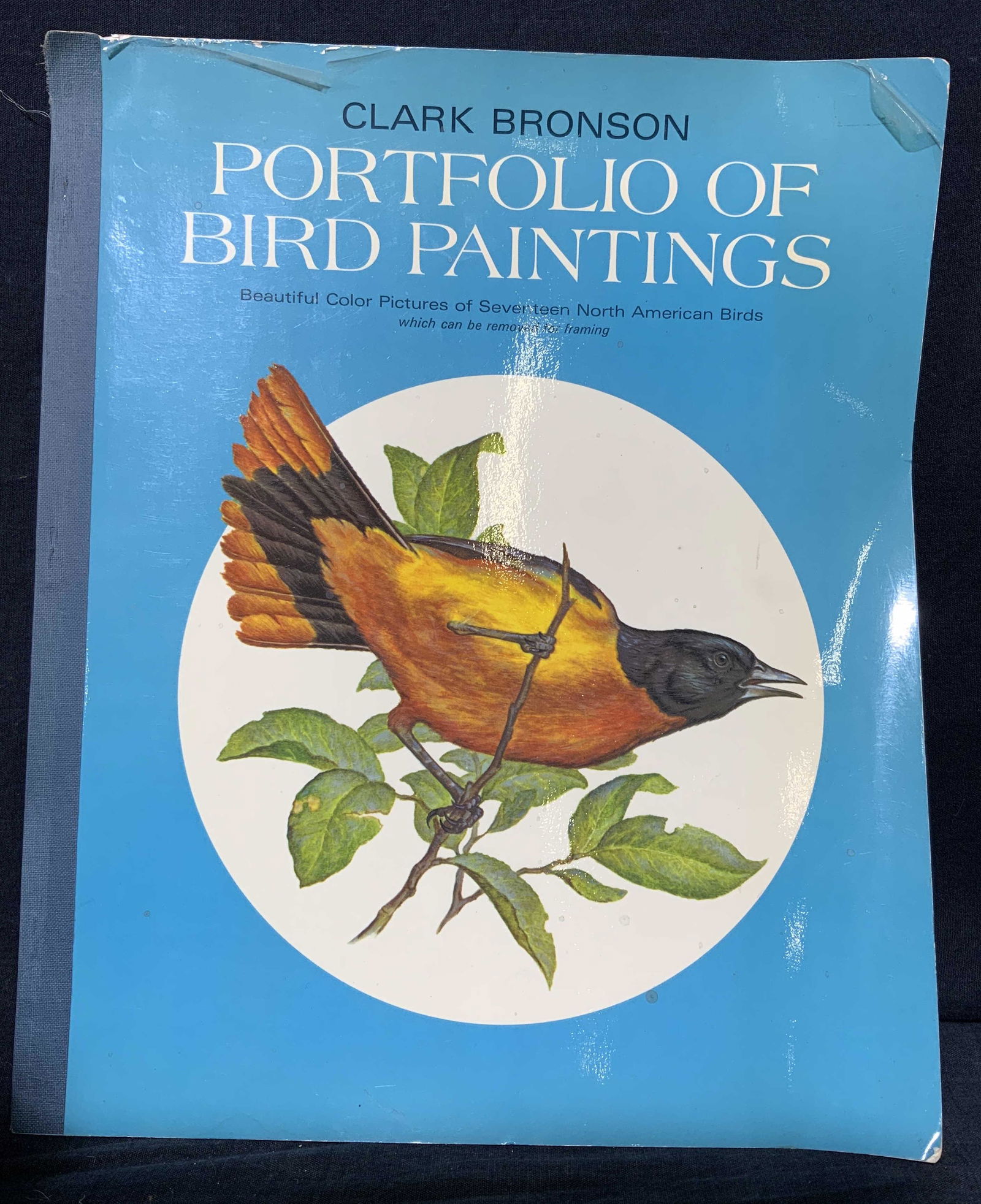 CLARK BRONSON Portfolio of Bird Paintings Book (1 of 5)
