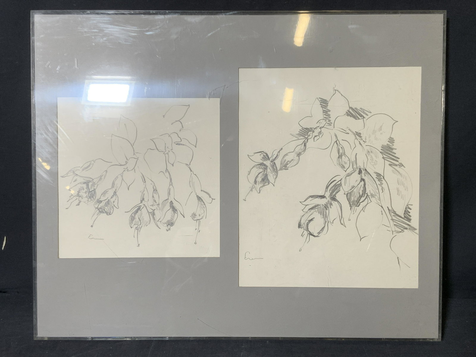Signed Botanical Graphite Sketches Framed: Botanical Graphite Sketches Framed, signatures to lower right illegible, subject flowers, frame measures 20 1/4 x 16 1/4 inches, framed in plexiglass, surface wear to frame, professionally framed, dou