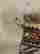 item-119075120=9