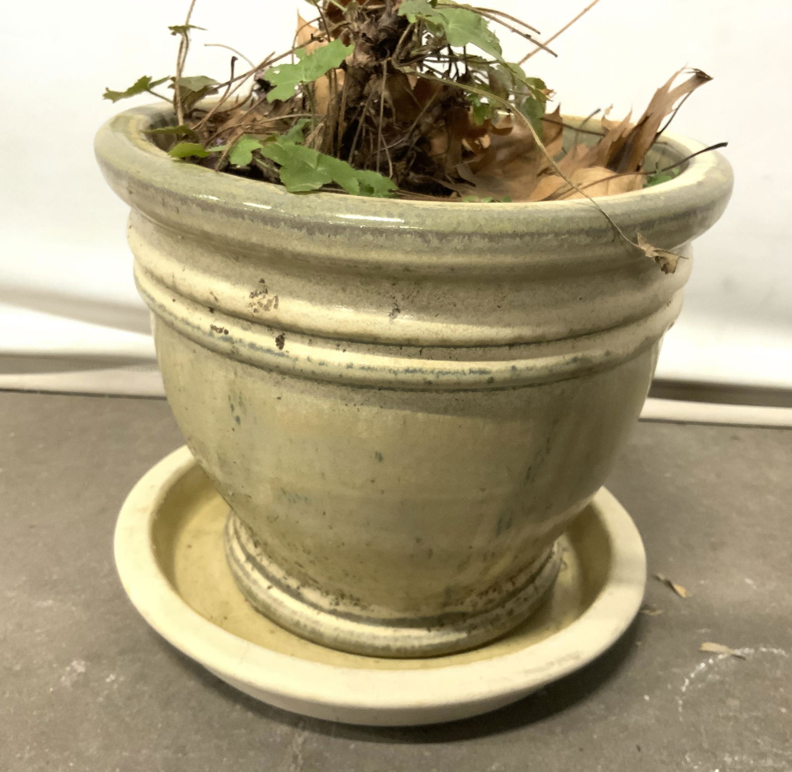 Lot 2 Vintage Ceramic Planter W Saucer (1 of 7)