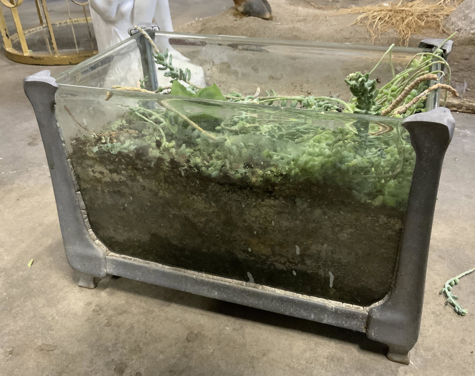Glass & Metal Planter (1 of 4)
