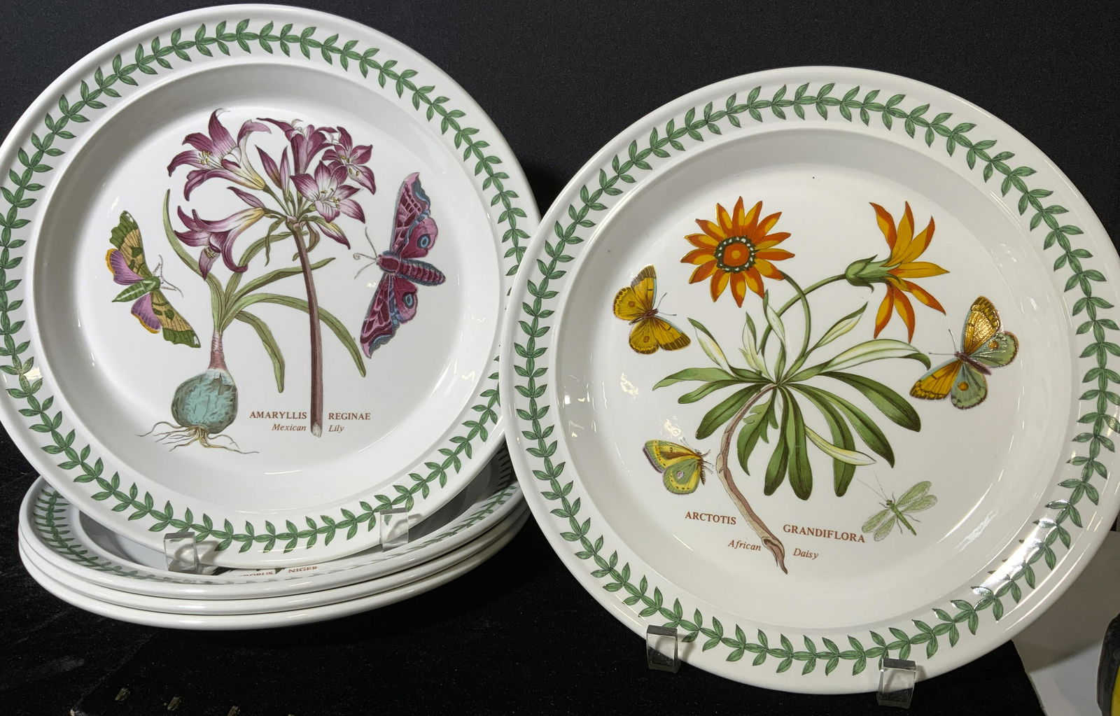 Group Lot 6 PORTMEIRION POTTERY Plates (1 of 6)