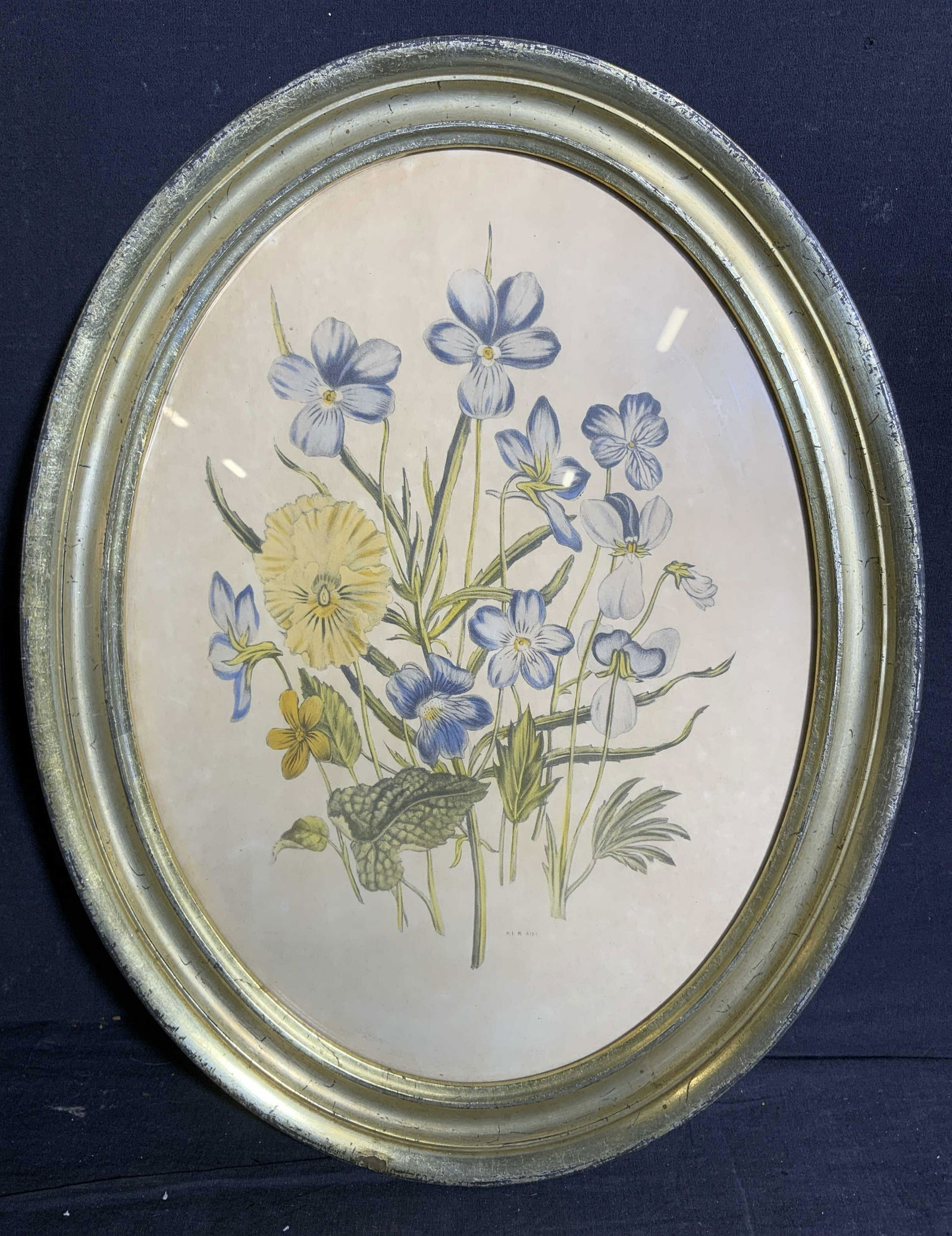P.L.B. Framed Hand Colored Botanical Engraving (1 of 4)