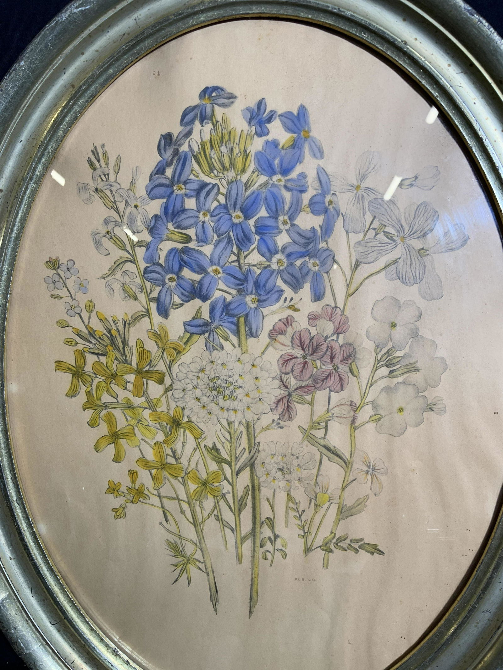 Vintage PLB Hand Colored Botanical Engraving Print (1 of 7)