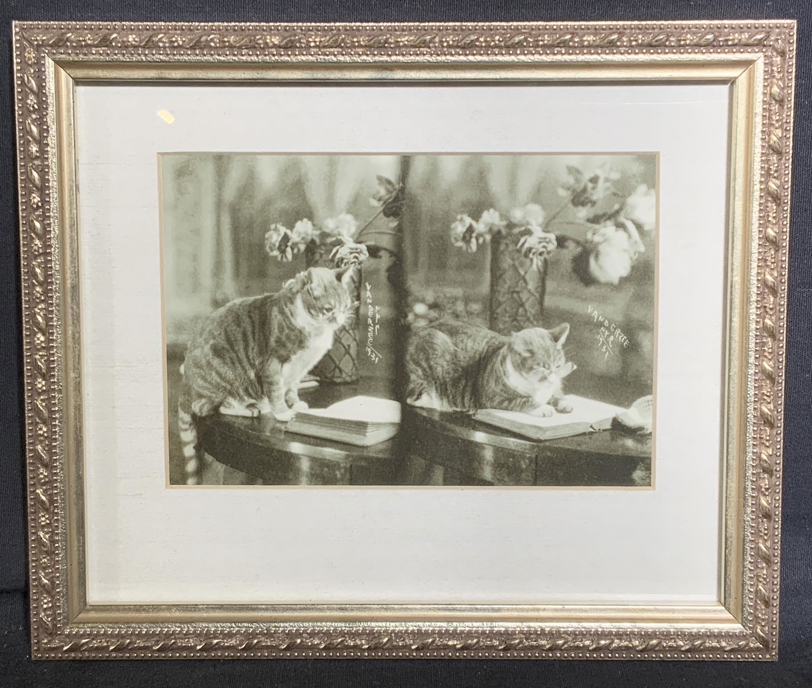 Framed Photograph of Cat Reading a Book (1 of 4)