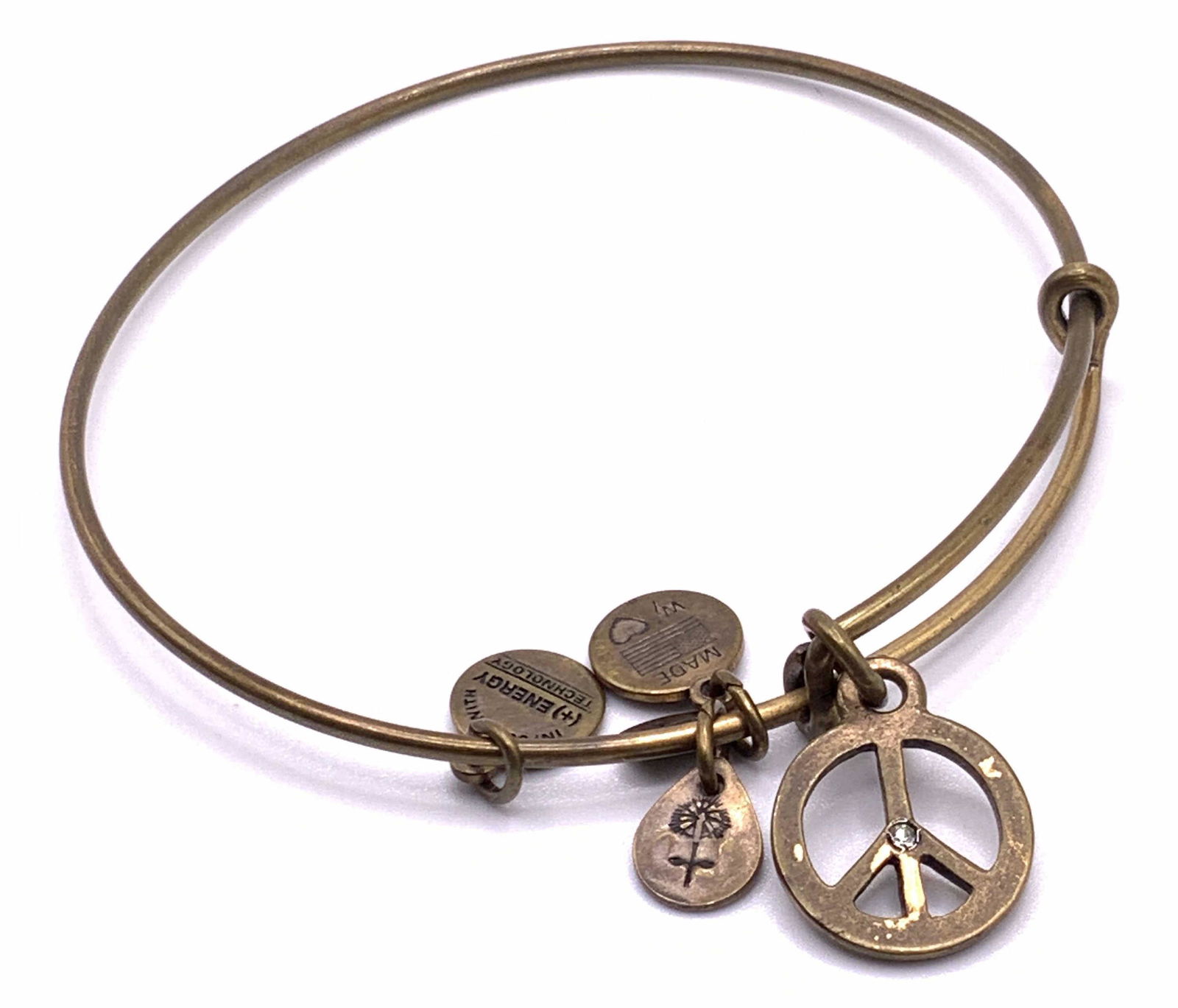 ALEX & ANI Charm Bracelet, Jewelry (1 of 7)