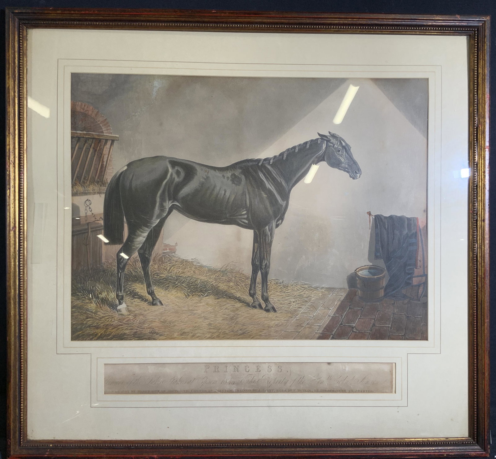 Antique Equestrian Princess Hand Colored Litho. (1 of 6)