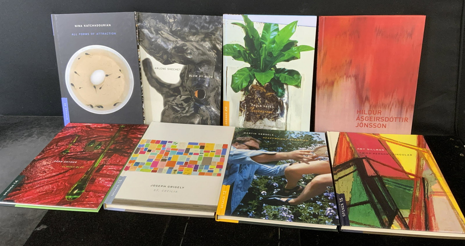 Group Lot 8 Hardcover Photography Books (1 of 6)