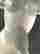 item-120871176=6