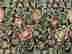 item-120913021=4