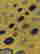 item-121036296=3