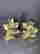 item-121036302=2